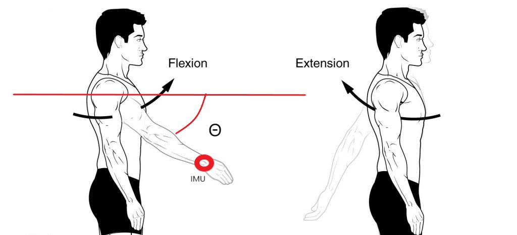 Shoulder Flexion and Extension - OrthoArizona